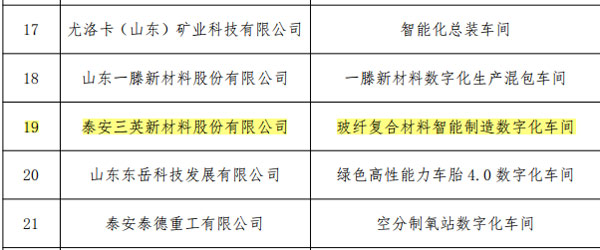 泰安三英新材料股份有限公司